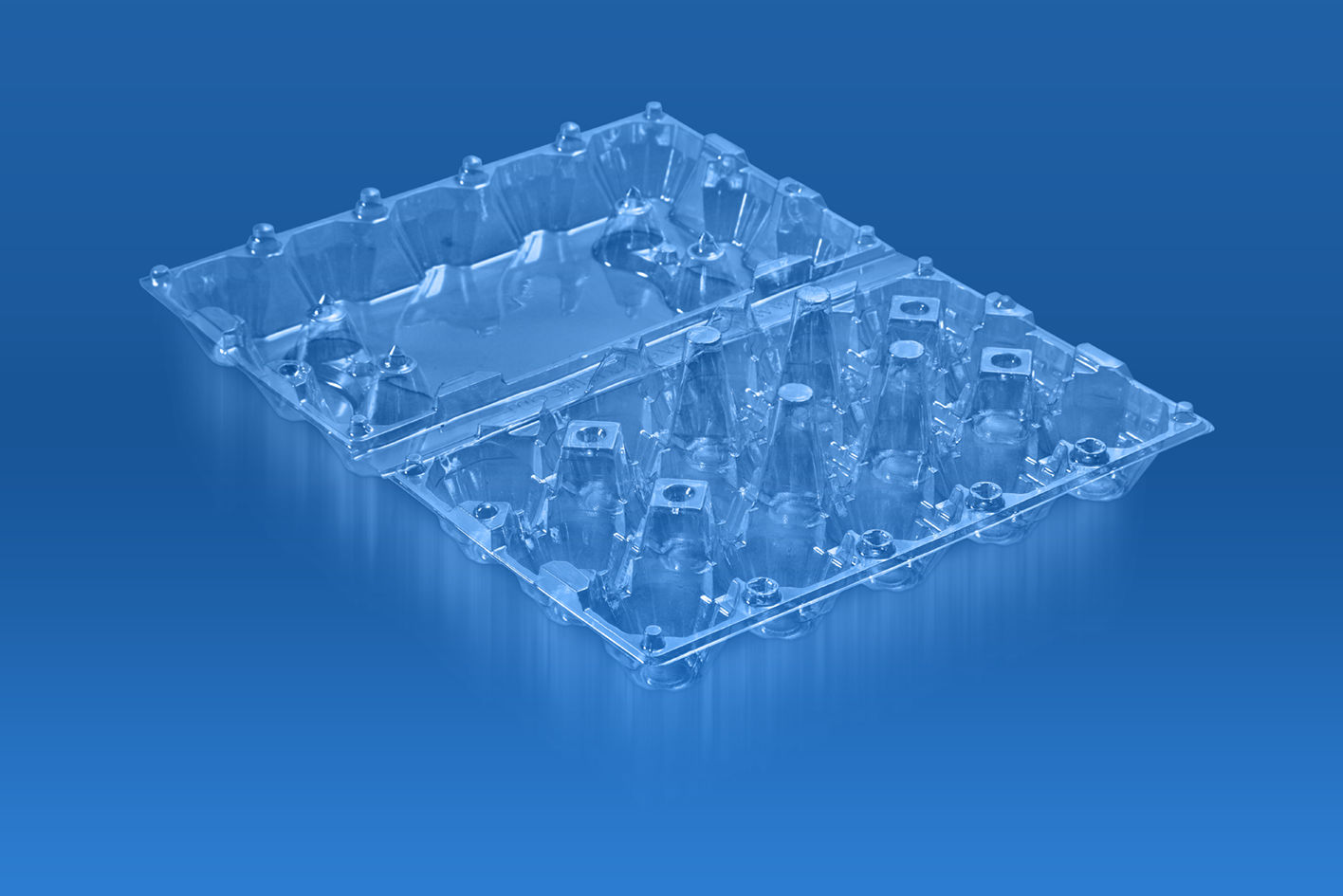 عکس ظرف تخ مرغ ۱۵ خانه