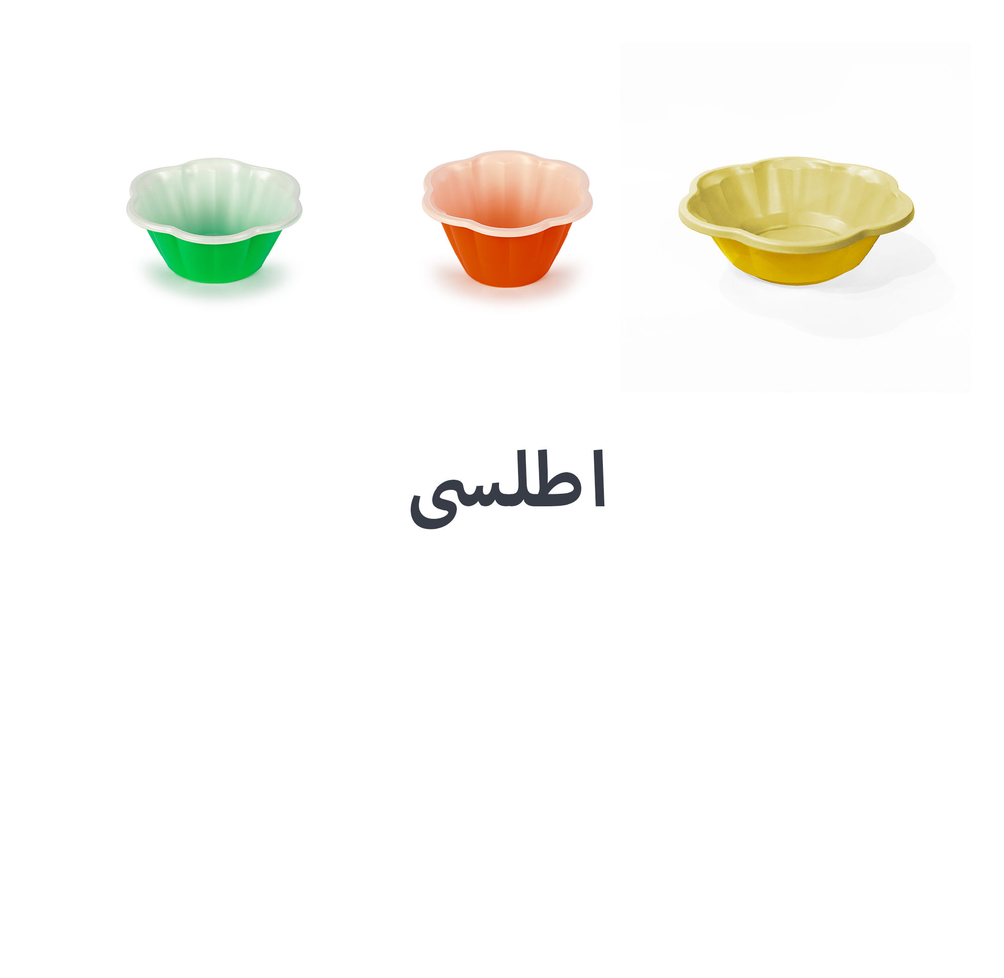 عکس اطلسی