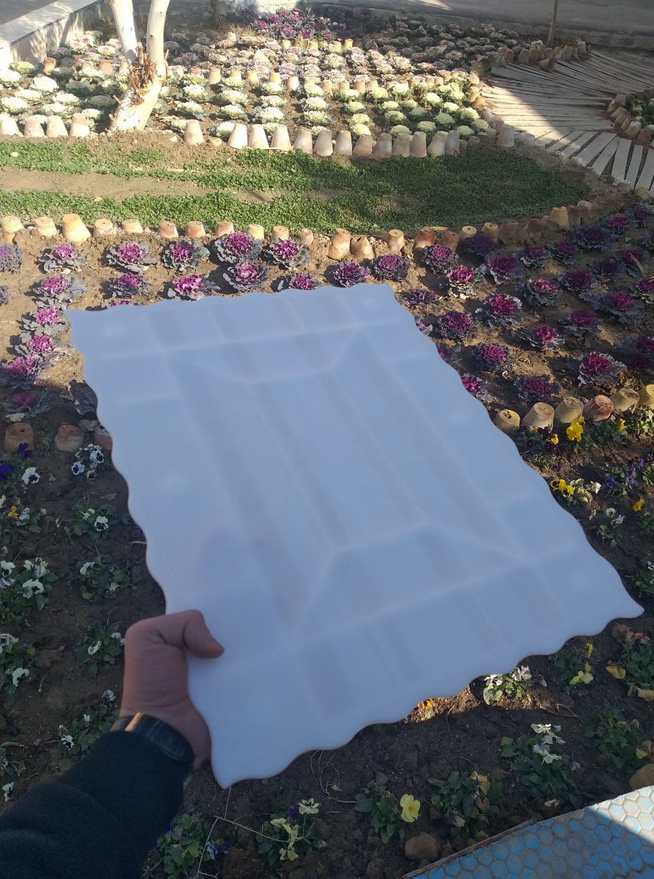 عکس صفحه کیک 40*30