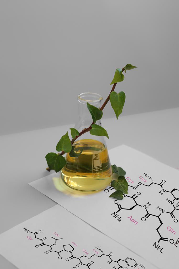 عکس پلاستی سایزرهای پی وی سی