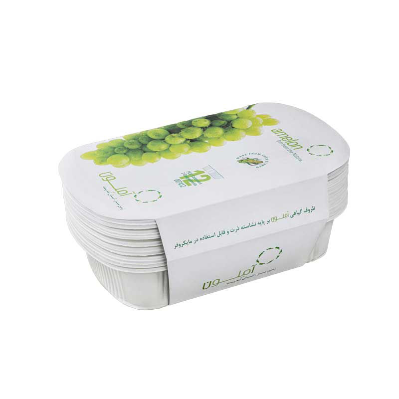 عکس ظرف غذا دوخانه یکبار مصرف گیاهی – بسته 12 عددی