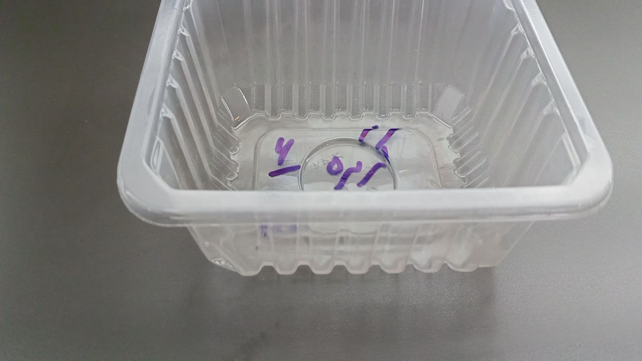عکس کرکره 
