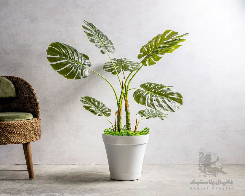 عکس سری آیلاسرام