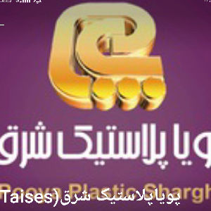 لوگو پویاپلاستیک شرق