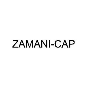 لوگو گروه تولیدی صنعتی زمانی