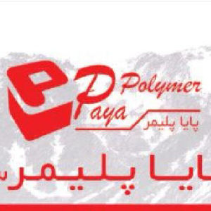 لوگو پایا پلیمر سبلان 