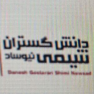 لوگو شرکت دانش گستران نیوساد