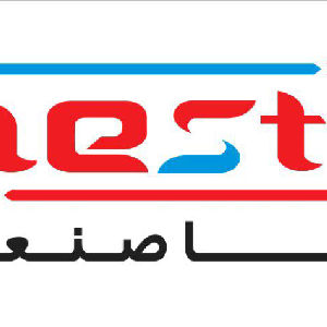 لوگو سرماسازان وستا صنعت 